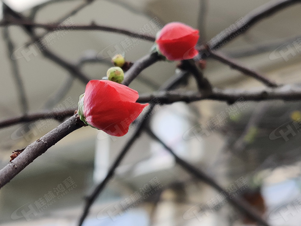 桂林鴻程花團錦簇，滿園春色，邀您一起共賞春景，共商大計！