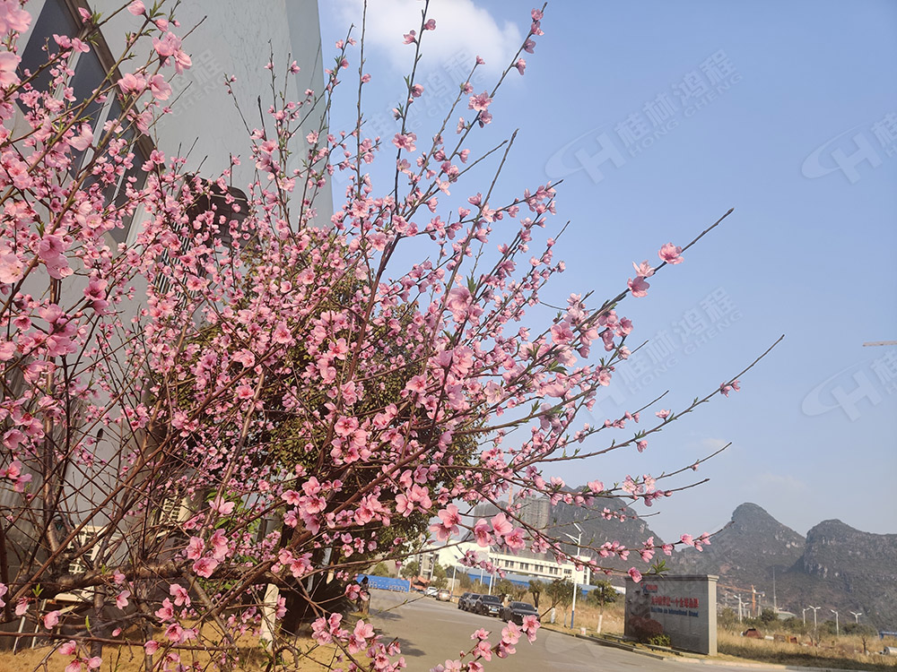 桂林鴻程花團錦簇，滿園春色，邀您一起共賞春景，共商大計！